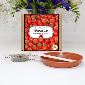 Gardening Gift. Tomatoes Growing Kit, 2 of 4