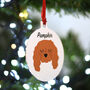 Cavalier Christmas Dog Breed Decoration Personalised, thumbnail 2 of 9