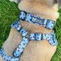 Leopard Animal Boy Girl Dog Puppy Fabric Collar, thumbnail 1 of 4