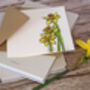 Daffodil Greetings Card, thumbnail 3 of 6