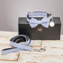 The Chichester Horizontal Striped Bow Tie And Lead, thumbnail 1 of 5