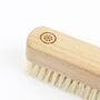 Sustainable Wood Small Nail Brush With Plant Bristles, thumbnail 6 of 8