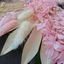White And Pink Dried Palm Sun Bouquet, thumbnail 3 of 4