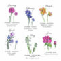 Birth Month Flower Print, thumbnail 3 of 4