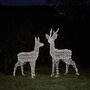 Outdoor Battery Dual LED Stag And Doe Christmas Figures, thumbnail 3 of 4
