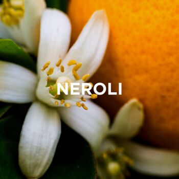 Scented Soy Candle Neroli + Chamomile, 5 of 6