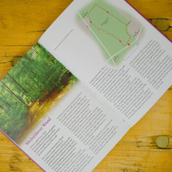 Hampshire Walking Guide, 3 of 3