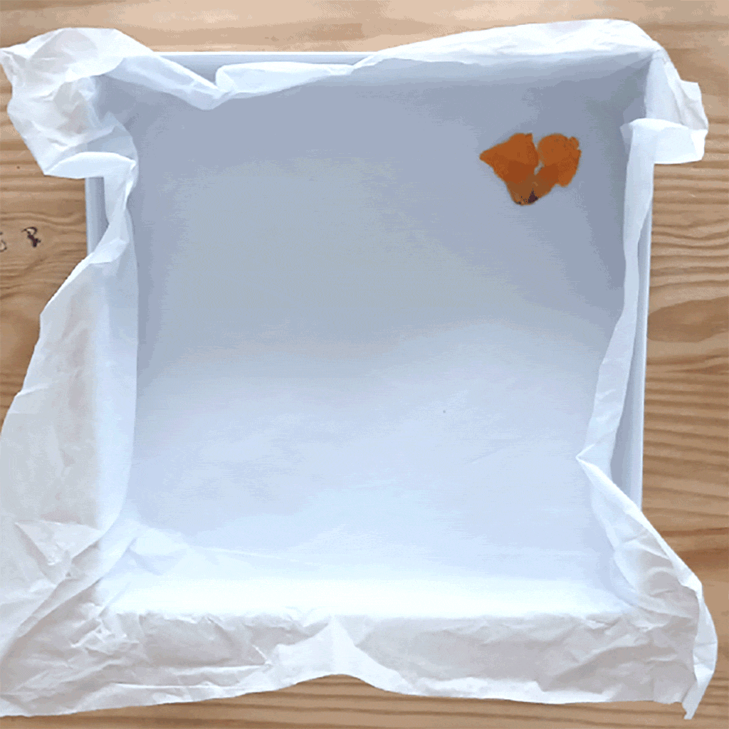 Pressed Flower Botanical Craft Kit For Kids And Adults, 5 of 12