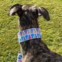 Martingale Collar In Balloon Design. Available Lead, thumbnail 7 of 7