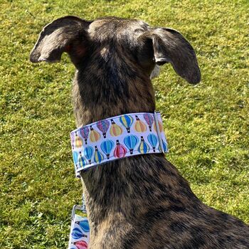 Martingale Collar In Balloon Design. Available Lead, 7 of 7