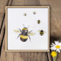 Steling Silver Stud Bee Earrings Cute Gift For Child Or Adult, thumbnail 1 of 6