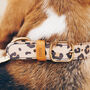 Luxury Leather Dog Collar, thumbnail 7 of 10