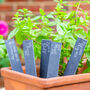 Cheeky Herb Slate Markers, Set Of Five, thumbnail 4 of 5