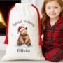 Bear Special Delivery Christmas Sack, thumbnail 1 of 2