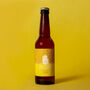 Nirvana Brewery 24 British Craft Beers Gift Low Alc, thumbnail 5 of 11