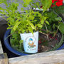 Garden Maintained By Gnomes Plant Pot, thumbnail 2 of 4