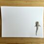 Whale Shark Note Cards With Matching Envelopes, thumbnail 2 of 2