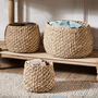 Whitley Set Of Three Round Seagrass Baskets, thumbnail 1 of 5