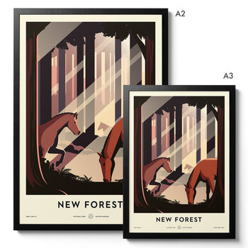 New Forest National Park Print, 6 of 11