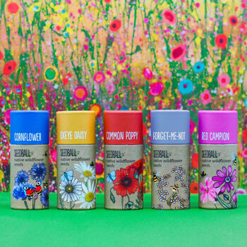 Set Of Five Beautifully Illustrated Wildflower Seedball Tubes 20 Seed Balls Each, Perfect Christmas Present, 2 of 12