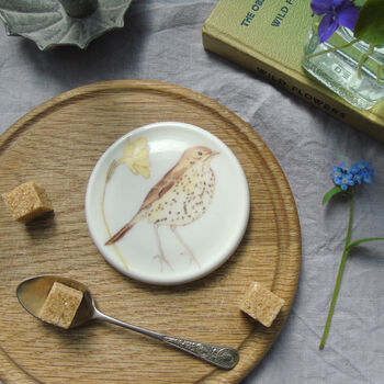Garden Wildlife Bone China Coasters, 6 of 6