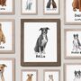 Personalised American Pitbull Terrier Art Print, thumbnail 1 of 8