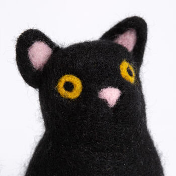 Halloween Cat Needle Felting Kit, 7 of 9