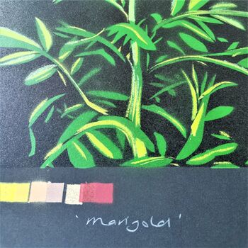 'Marigold' Large Original Handmade Botanical Study, 3 of 12