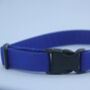 Bright Blue Dog Collar, thumbnail 3 of 12