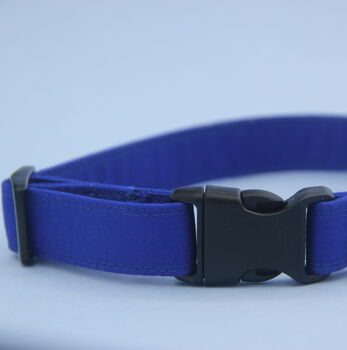 Bright Blue Dog Collar, 3 of 12