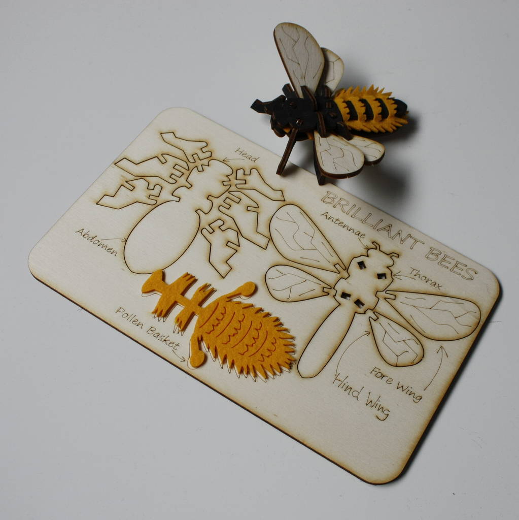 Slot Together Brilliant Bee Kit, 1 of 8