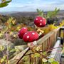 Christmas Clip On Toadstool Decoration Set, thumbnail 5 of 5