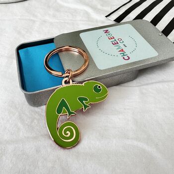 Chameleon Keyring Or Bag Charm, 6 of 8