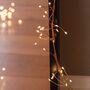 Copper Cluster Fairy Lights, thumbnail 3 of 4