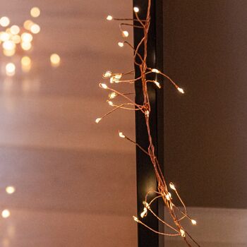 Copper Cluster Fairy Lights, 3 of 4