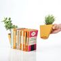 Living House Plant Bookends, thumbnail 2 of 4