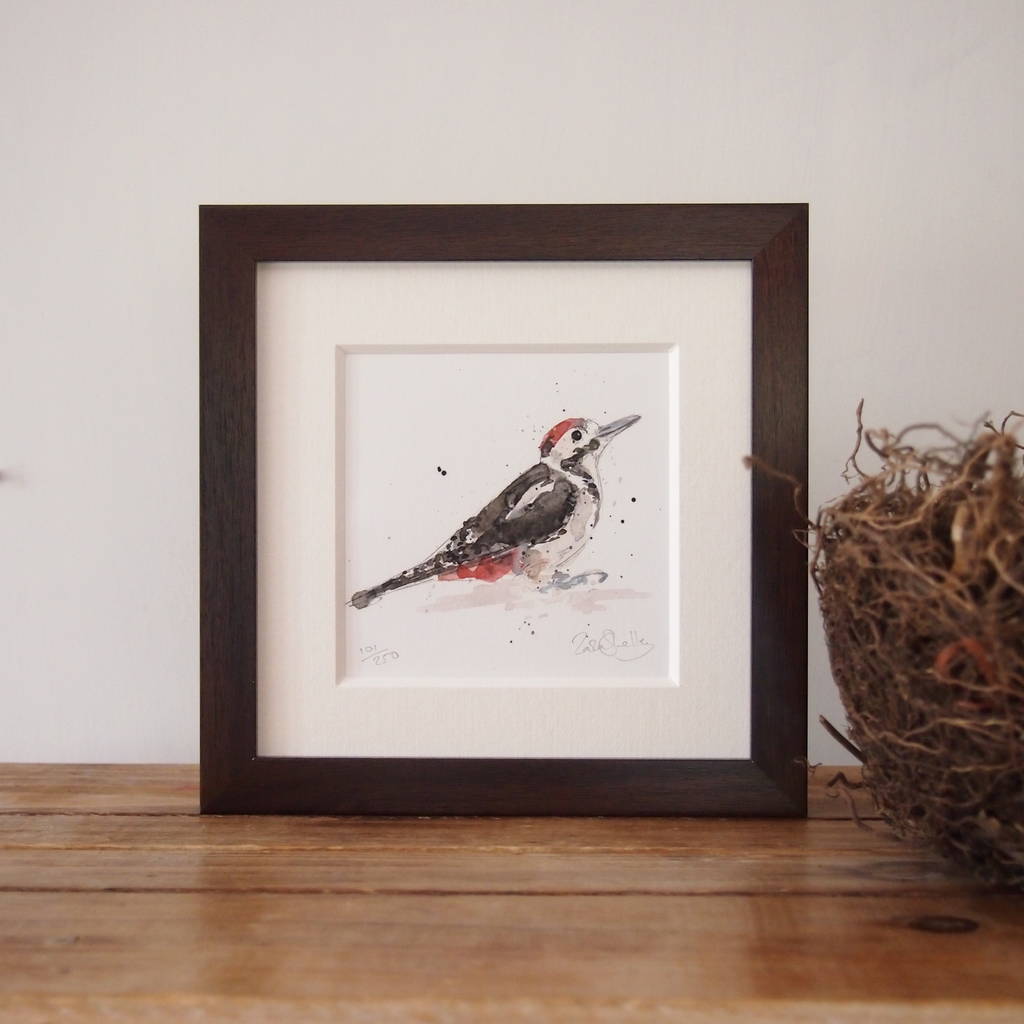 Limited Edition, Garden Bird Print, Spotted Woodpecker, 1 of 3