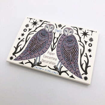 Mini Paper Concertina Owl Decoration, 2 of 5