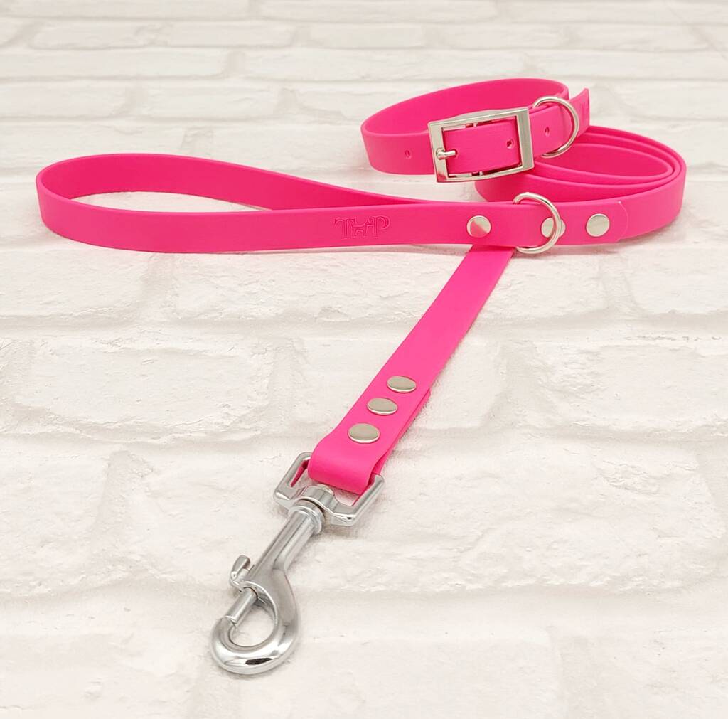 Waterproof Dog Collar And Lead Set Electric Pink, 1 of 2