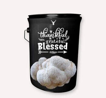 'Thankful, Grateful, Blessed' Lion's Mane Mushroom Grow Kit, 4 of 4