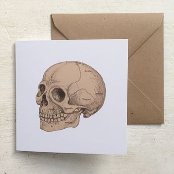 Anatomical Skull Illustration Greetings Card, 4 of 4