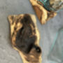 16cm Molten Glass Square Bowl On Teak Root Base, thumbnail 8 of 12