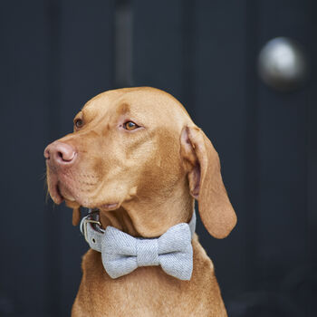 Tweed Dog Bow Tie, 6 of 12