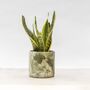 Handmade Plant Pot | Muddy Green And White | Recycled, thumbnail 2 of 7