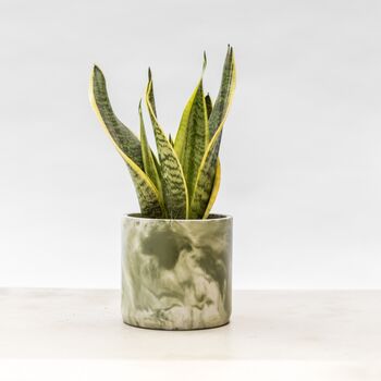 Handmade Plant Pot | Muddy Green And White | Recycled, 2 of 7