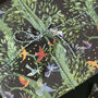 'Forest Flight' Pack Of Luxury, Recycled Wrapping Paper, thumbnail 5 of 12