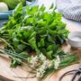 Herb Plants, Lovage, Full Plants In 9cm Pots, thumbnail 3 of 5