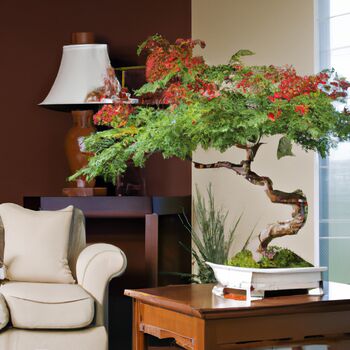 Grow Your Own Bonsai Tree Houseplant Gift Set, 5 of 6