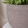 Mesiac Rippled Grey Plant Pot, thumbnail 5 of 5