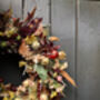 Dried Autumn Wreath With Chillies 'Hansel', thumbnail 7 of 11